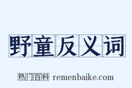 野童反义词是什么意思的图片